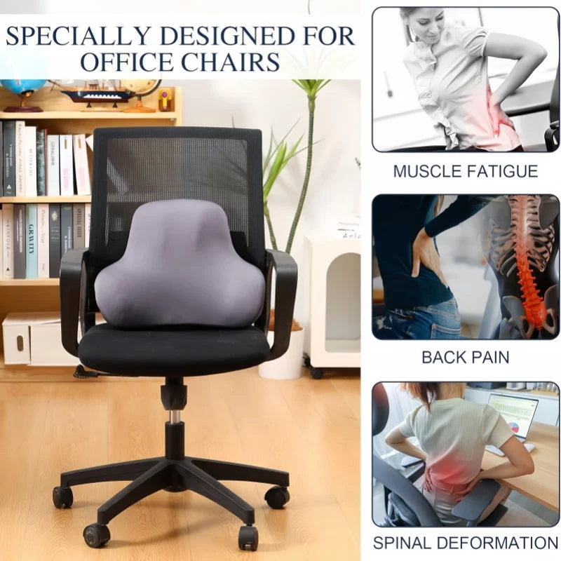ErgoBack Support Pillow