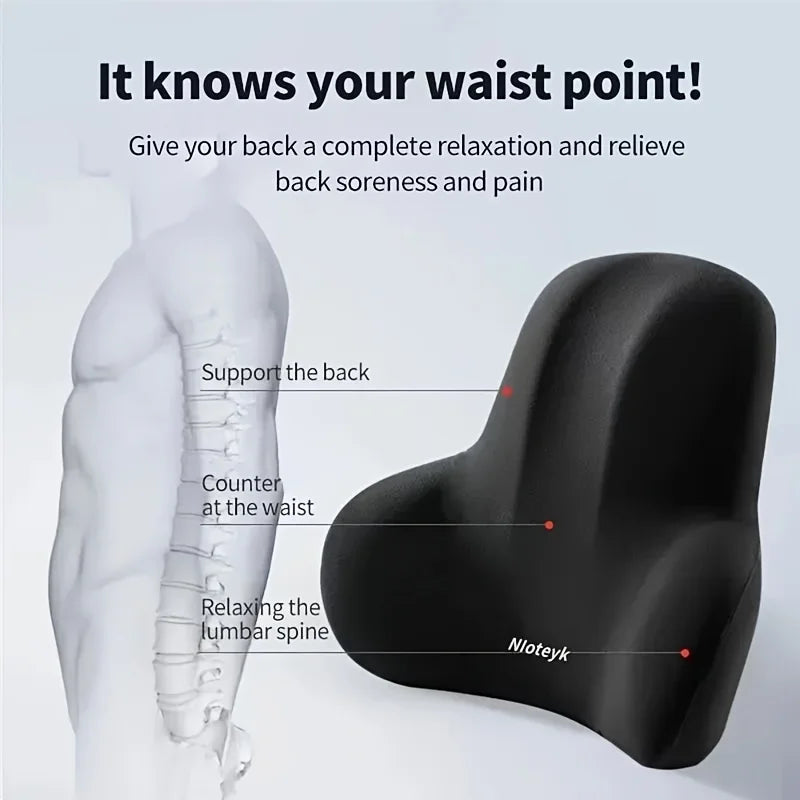 ErgoBack Support Pillow