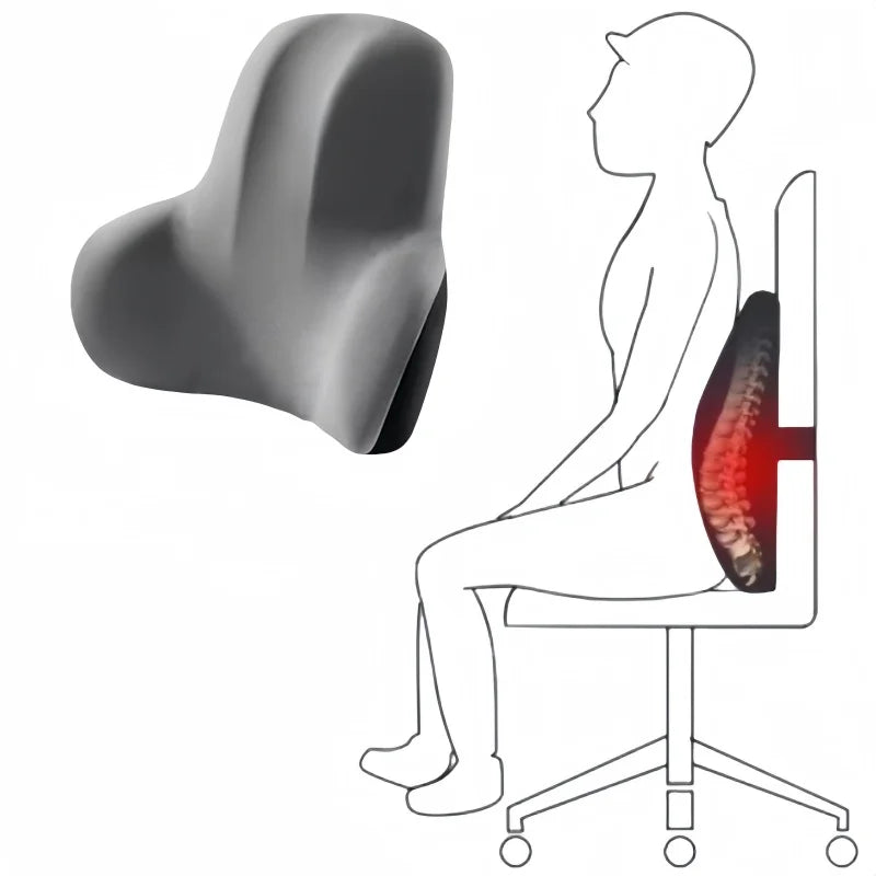 ErgoBack Support Pillow